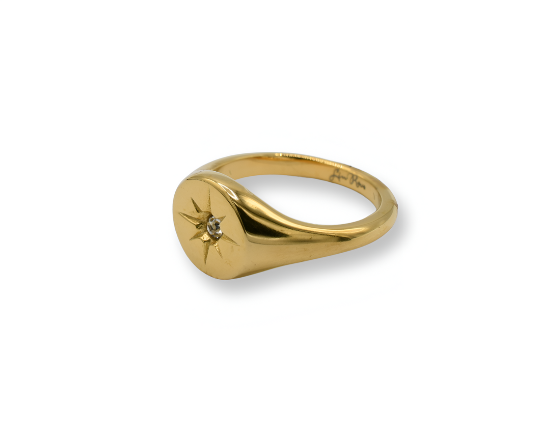 Mini Compass Ring / Anillo