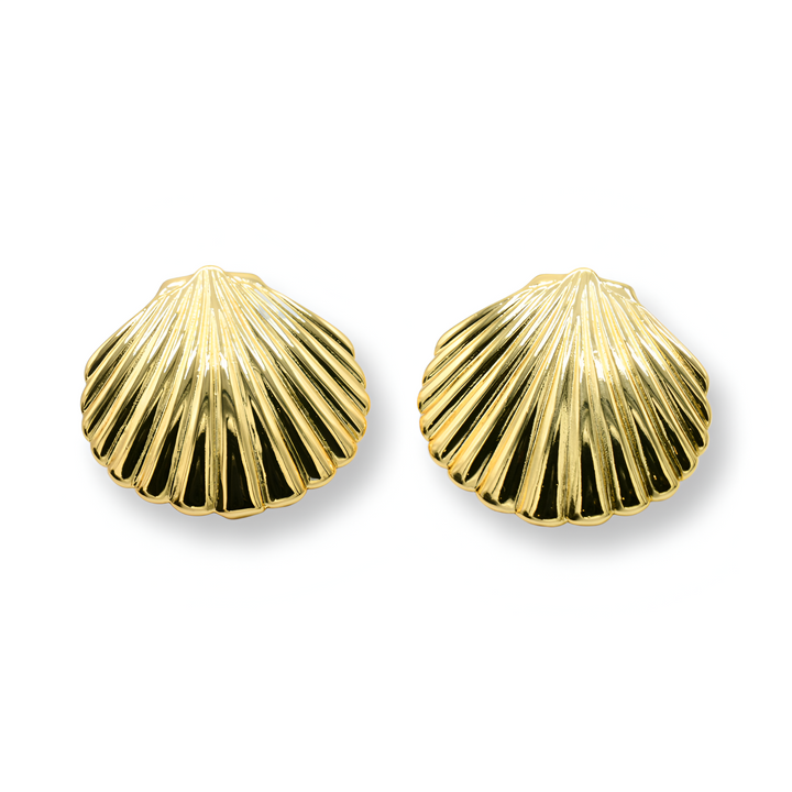 Brass Shell Earrings