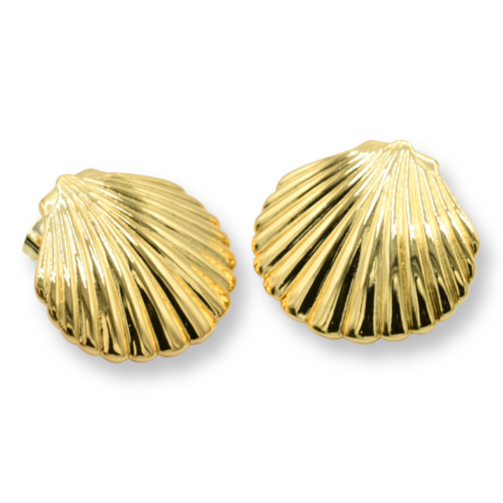 Brass Shell Earrings