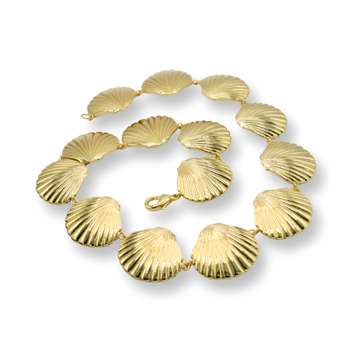 Shell Necklace