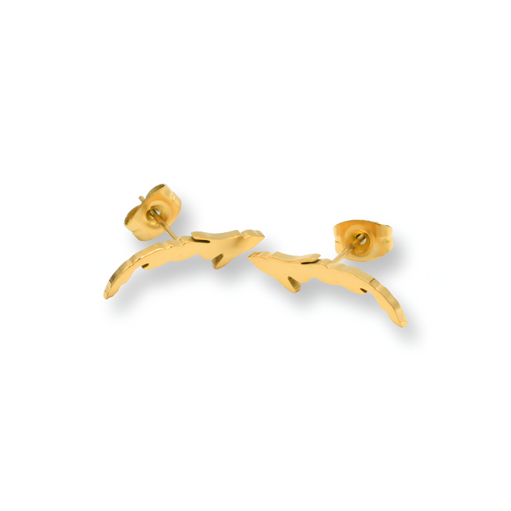 C Map Earrings
