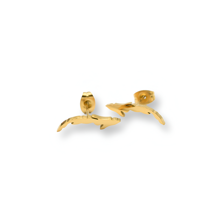 C Map Earrings