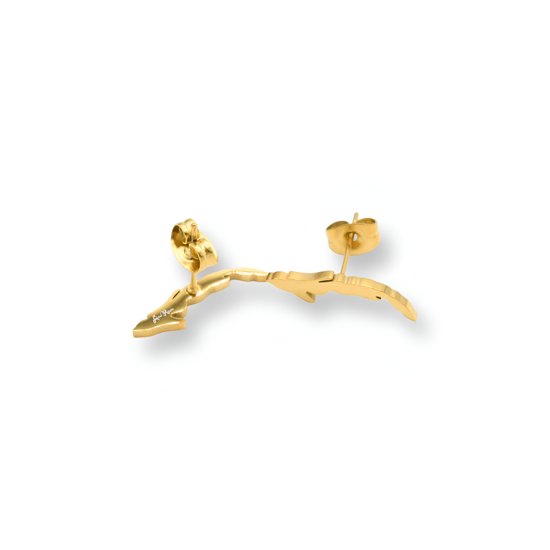 C Map Earrings