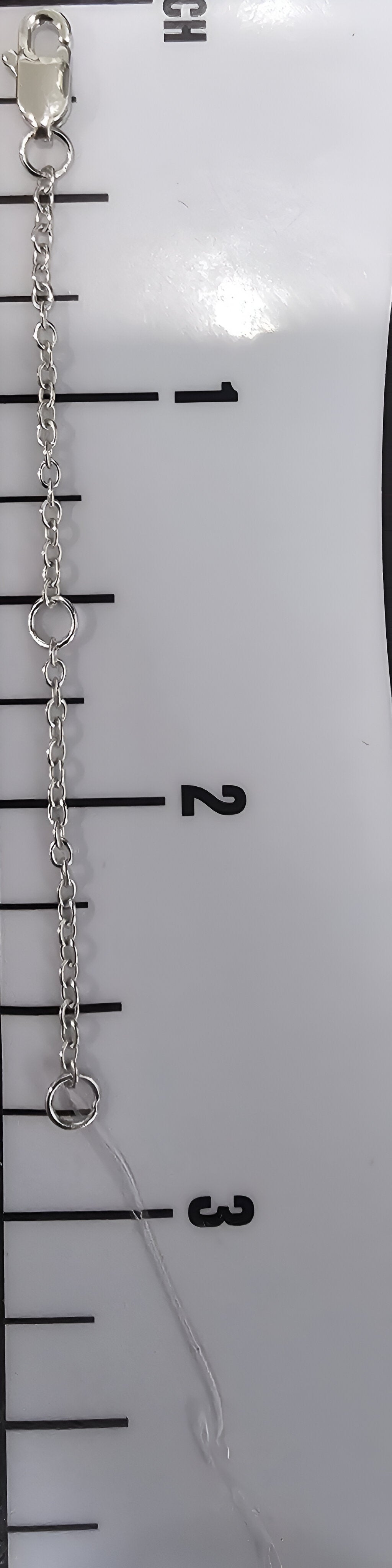 Necklace Extender ( Plata )