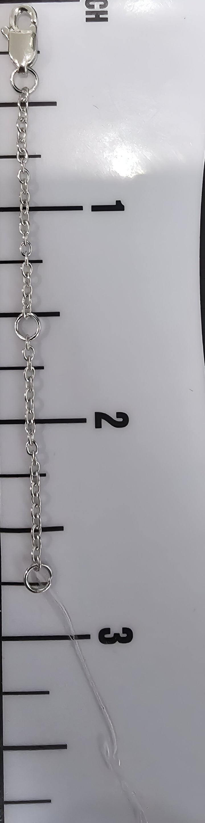 Necklace Extender ( Plata )