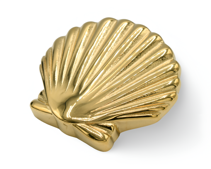 Sea Shell Pin
