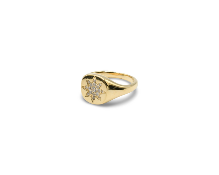 Mini Compass Ring / Anillo Oro 10K