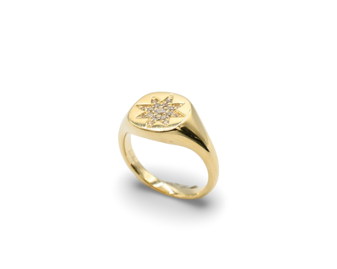 Mini Compass Ring / Anillo Oro 10K