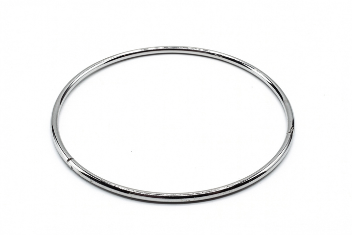 Silver Nelly Choker