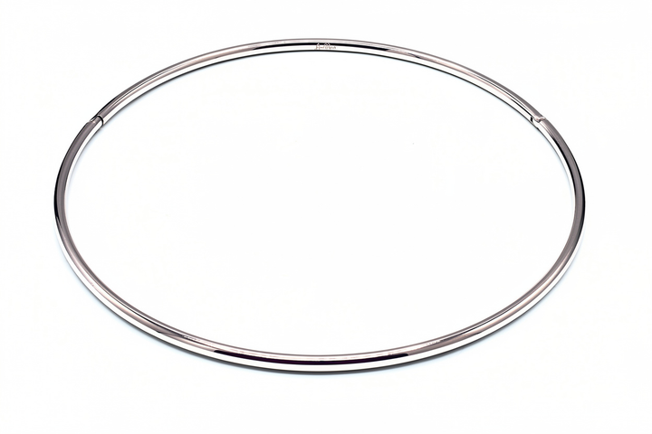 Silver Nelly Choker