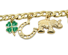 Load image into Gallery viewer, Lucky Charms Bracelet