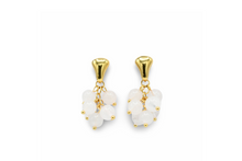 Load image into Gallery viewer, Natural Stone Earrings