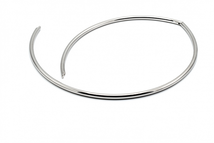 Silver Nelly Choker