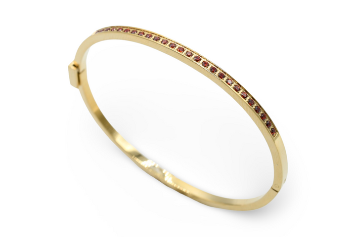 Skinny Steel Red Bangle