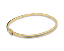 Load image into Gallery viewer, Skinny Steel Bangle