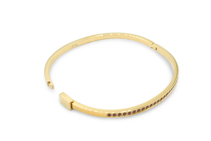 Skinny Steel Red Bangle